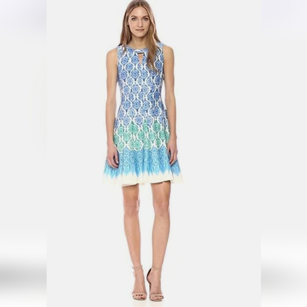 Gabbye Skye Fit & Flare Dress